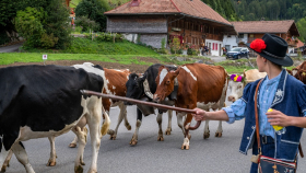 Швейцария потребовала от аграриев дешевых продуктов и экологичности